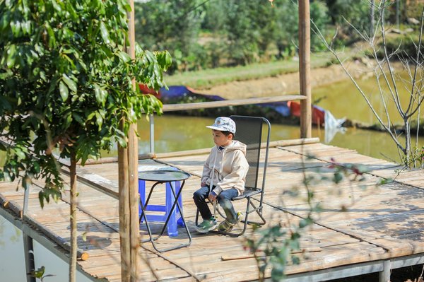 Top services for panneaux solaires photovoltaïques en 2025