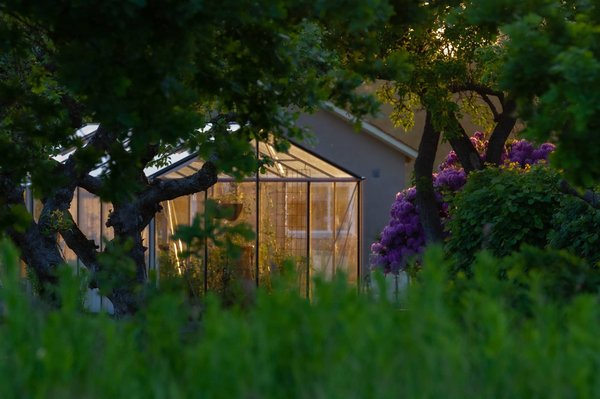 Éclairage extérieur à Bordeaux : Créer une ambiance magique dans votre Jardin