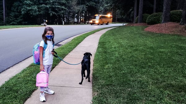 Choisir le sac a lunch idéal : nos conseils