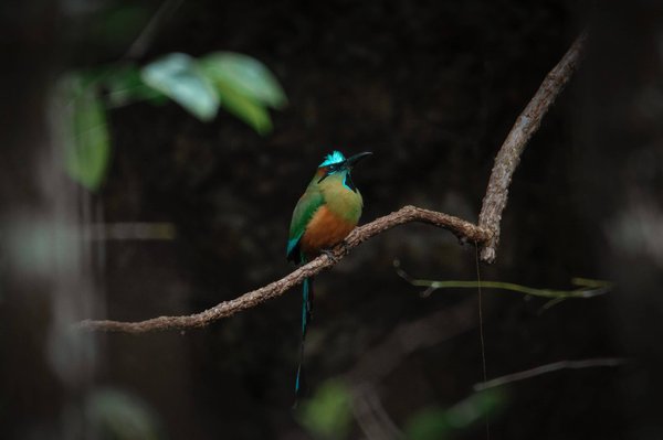 Les secrets de la perte de poids : découvrez les méthodes efficaces